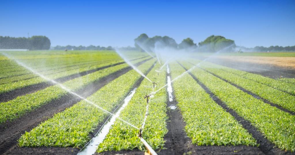 agriculture-waste-water-adobestock_86772407