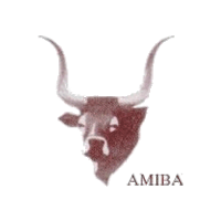 boreas-amiba